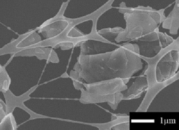 Functionalized/         Fluorinated Graphene Nanoplatelets