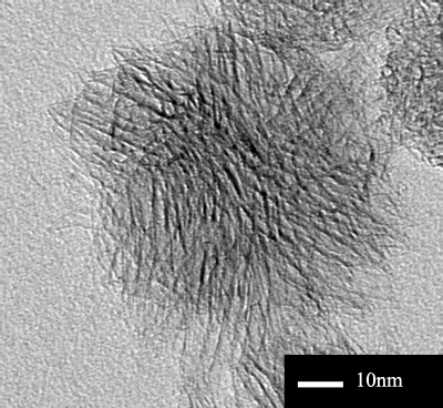 Carbon Nanohorns