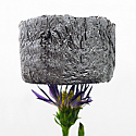 Graphene Aerogel