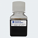 Nano Graphene Oxide Solution, 125 ml